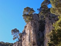 F, Bouches-du-Rhone, Cassis 10, Saxifraga-Hans Dekker